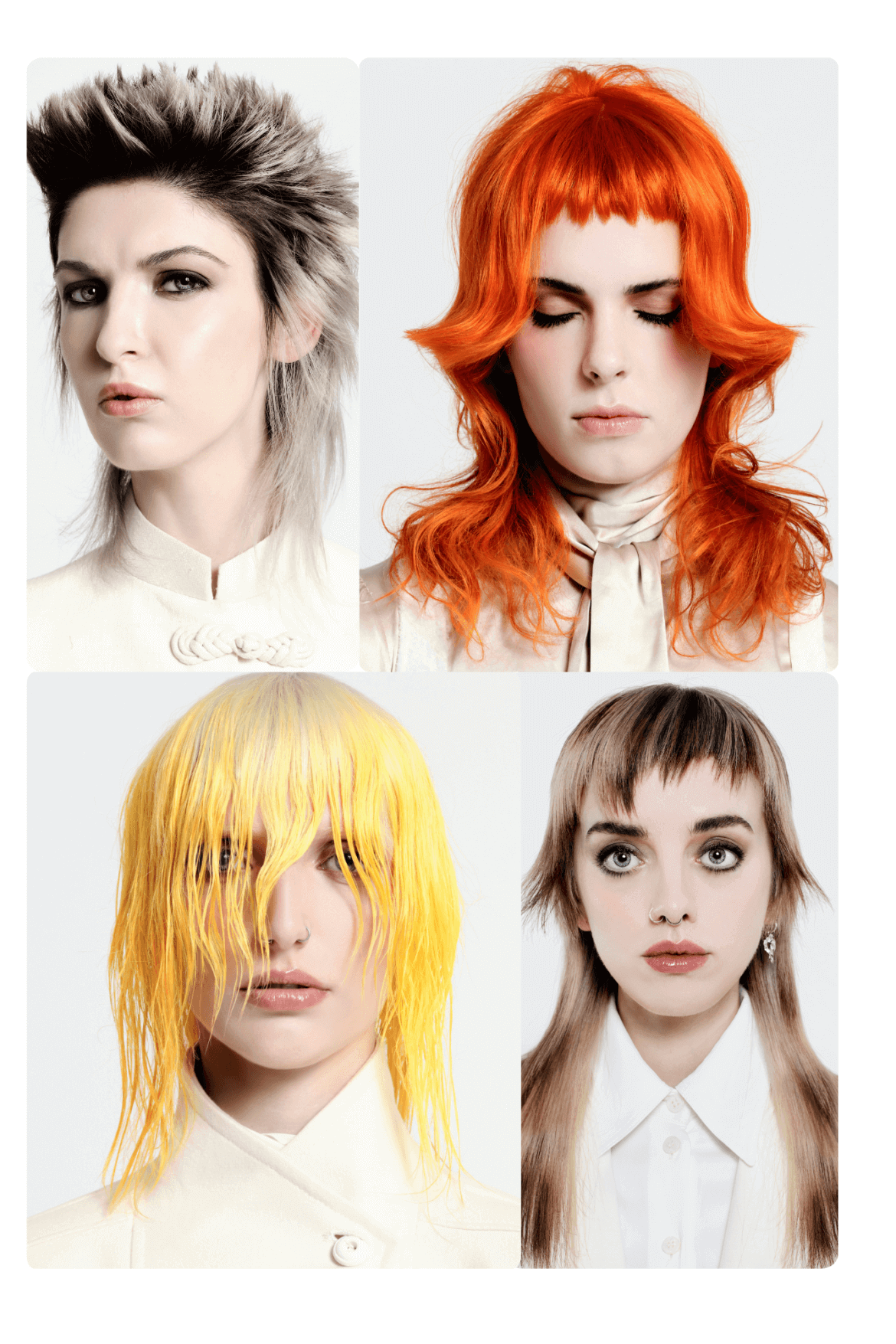 Suzie McGill’s Prism Collection